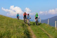 Mountainbike in Oberried (&copy; Tourismus Dreisamtal)
